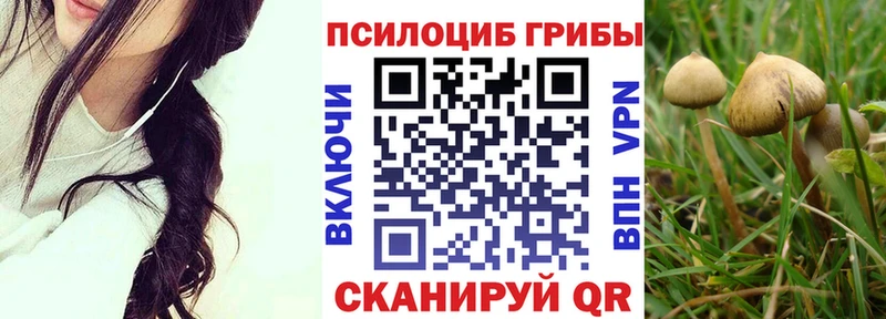 Галлюциногенные грибы Magic Shrooms Тверь