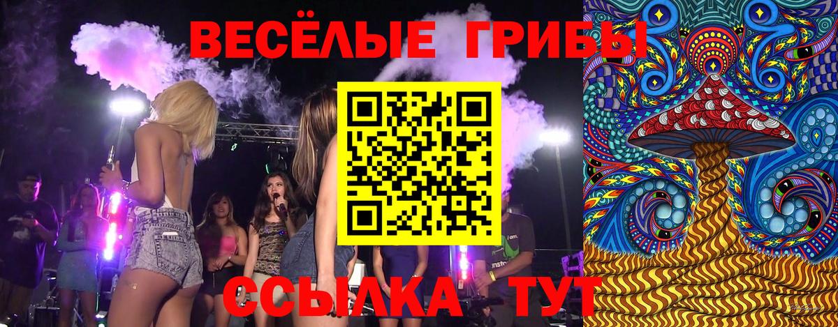 даркнет сайт  Псилоцибиновые грибы Magic Shrooms  Галлюциногенные грибы MAGIC MUSHROOMS  Вход с VPN  Тверь 