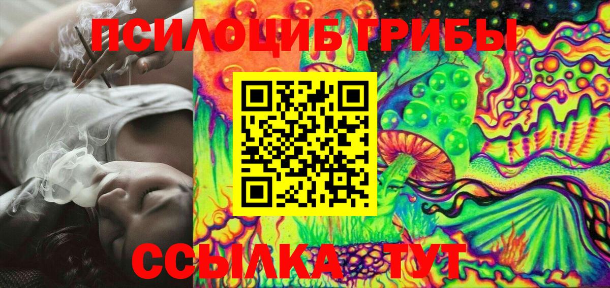 Псилоцибиновые грибы GOLDEN TEACHER Тверь